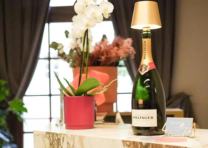 Del Lupo ホテル 4*